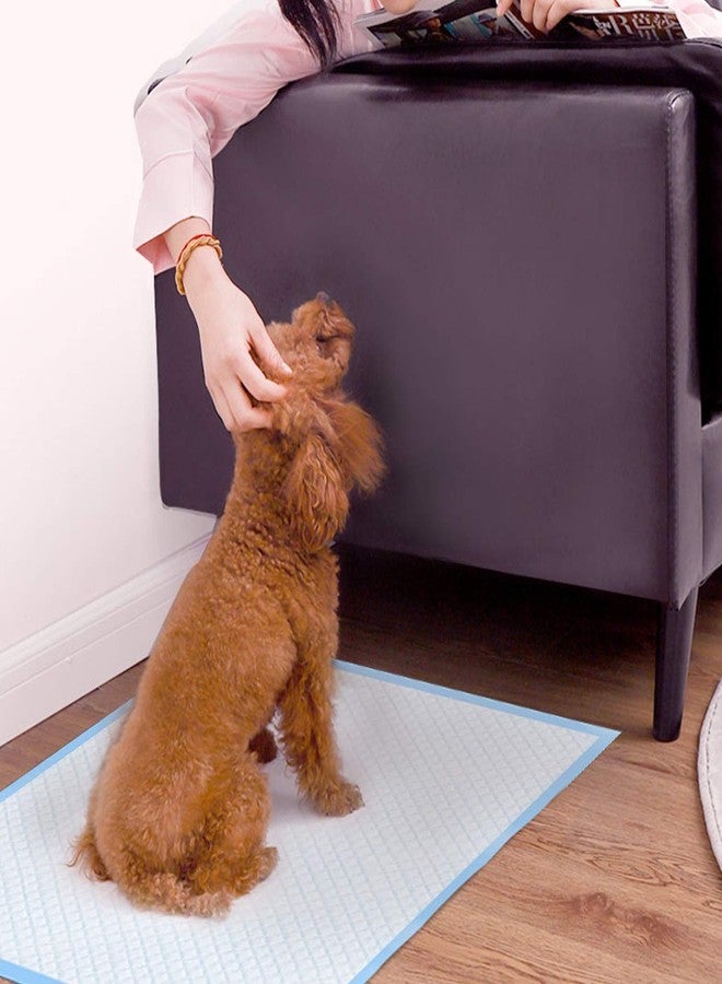 Dutiful Training Pet Potty and Pee Pads with Quick Drying Surface and Absorbent Core/Suitable for Small/Large Breed Puppies/Pets- (60 X 90 cm), 10 Pieces - Image 2